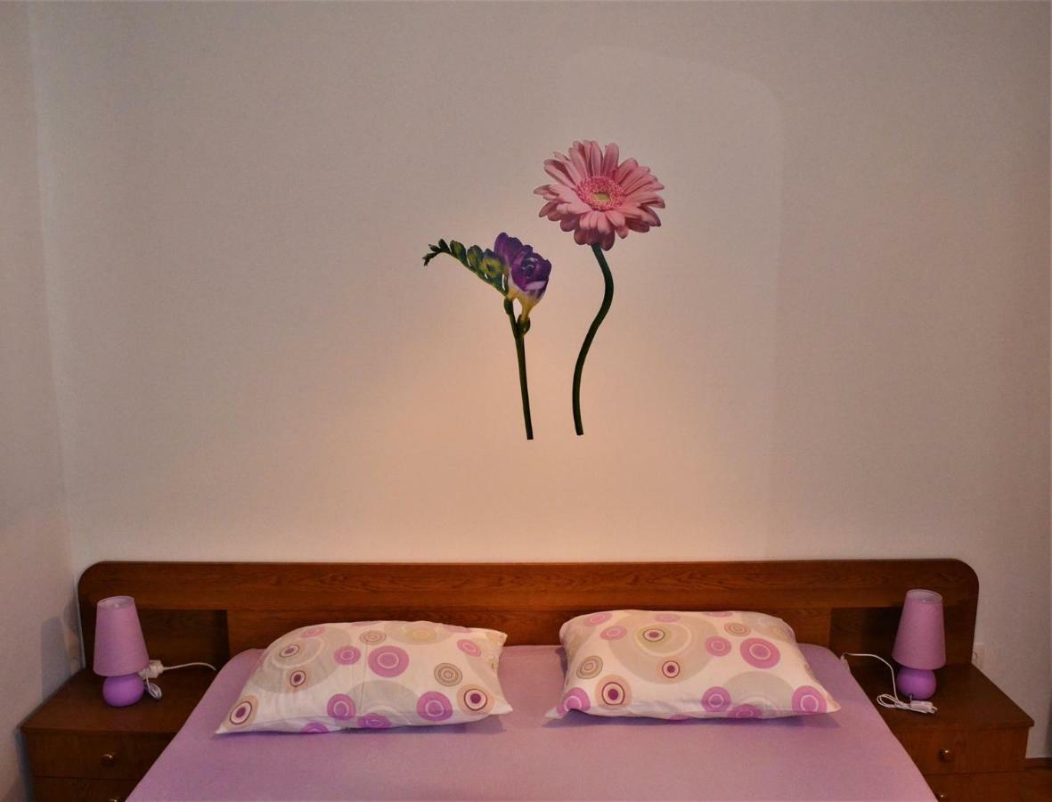Apartman Rosa 皮罗瓦茨 外观 照片